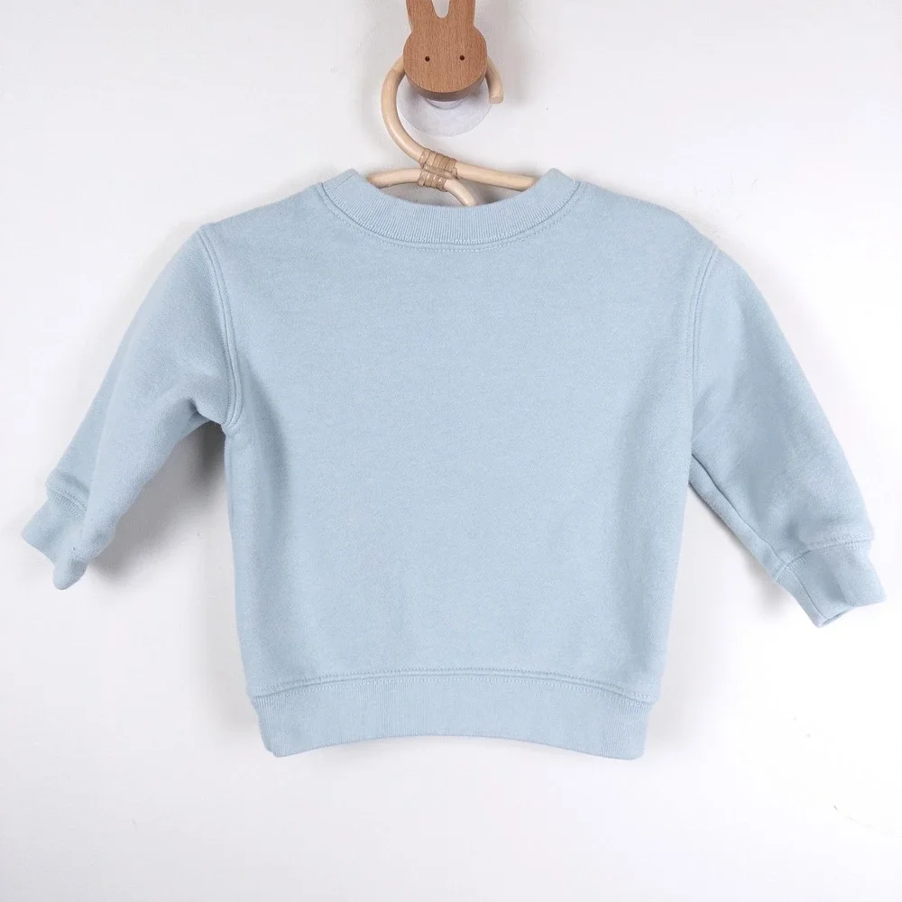 Gap Sweatshirt Kids 6-12 Months Blue‎ Brannan Bear Embroidered Fleece Pullover